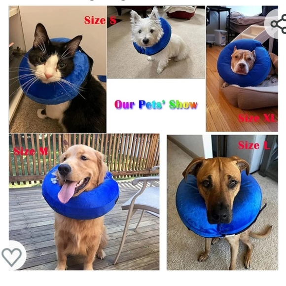 Katoggy inflatable dog collar (medical) in Large. - Picture 9 of 9